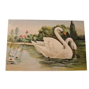 victorian German, Embossed Swan Painting. Posted Post Card